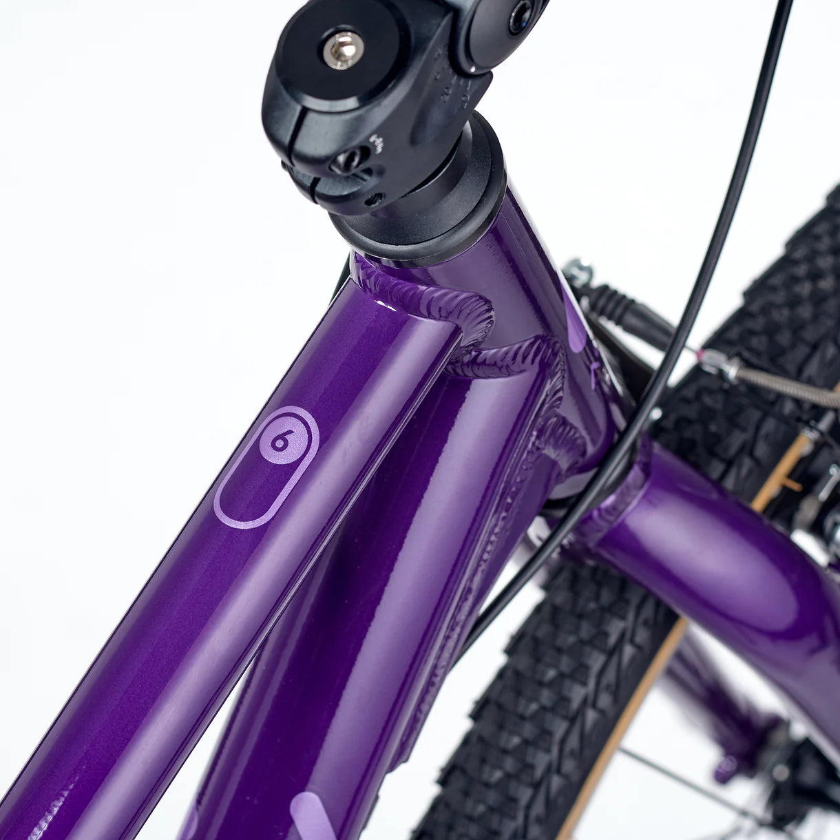 Academy GRADE 6 Paars