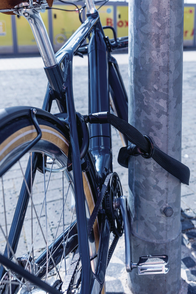 ABUS IvyTex Adaptor Chain ACH IVY 6KS/100 ketting zwart