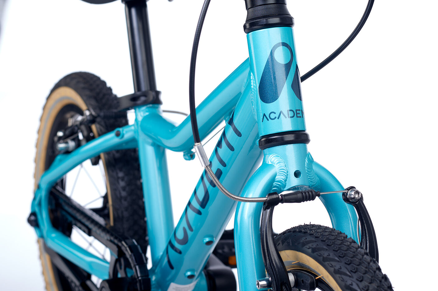 Academy GRADE 2 Oceaan