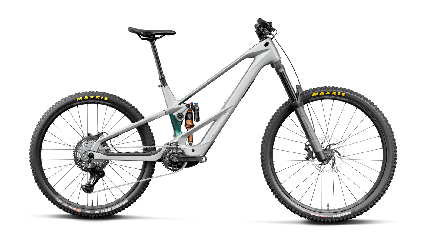 Orbea WILD LT M20 MULLET Smooth Silver (Mat) - Escape Green C. View (Glans)