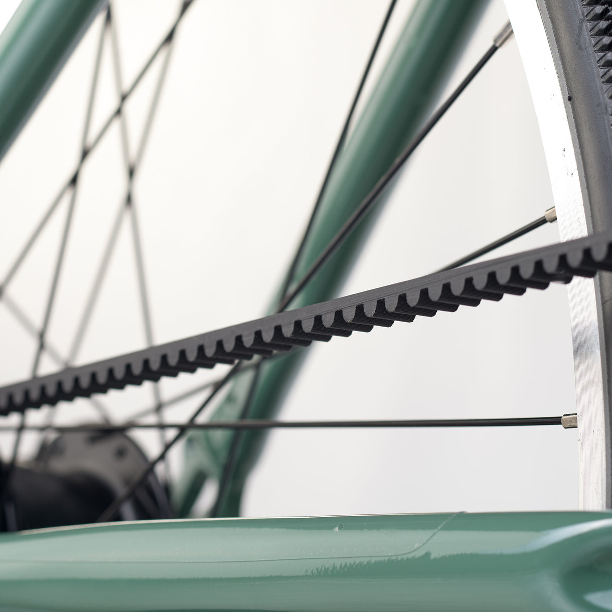 ACADEMY Grade 6 Belt 26" Olijf (2026)