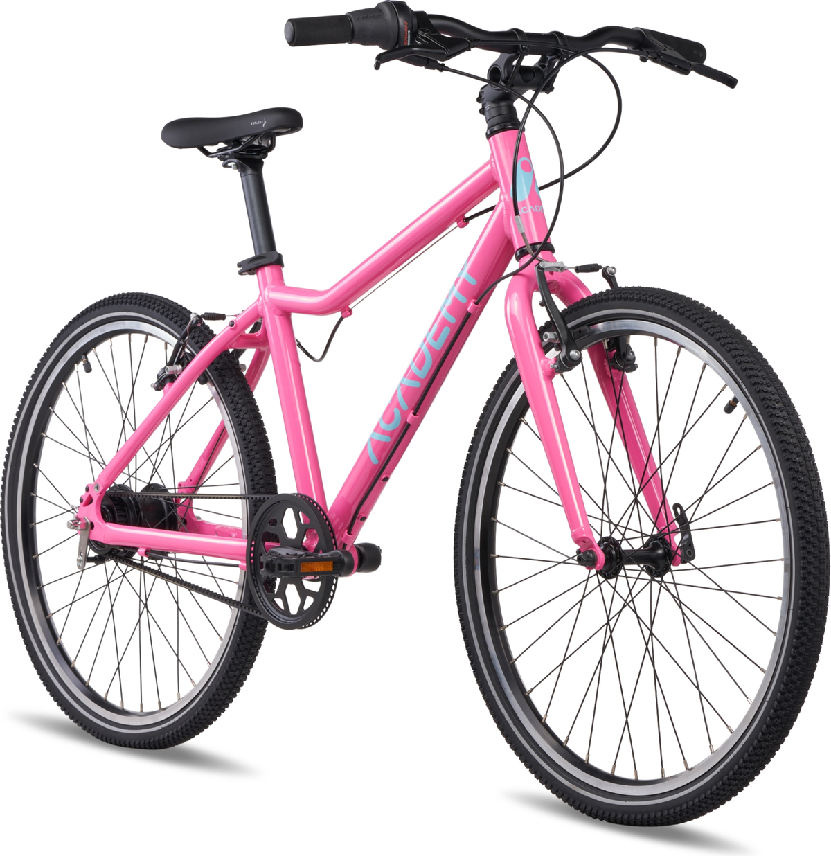 Academy Grade 5 riem Roze