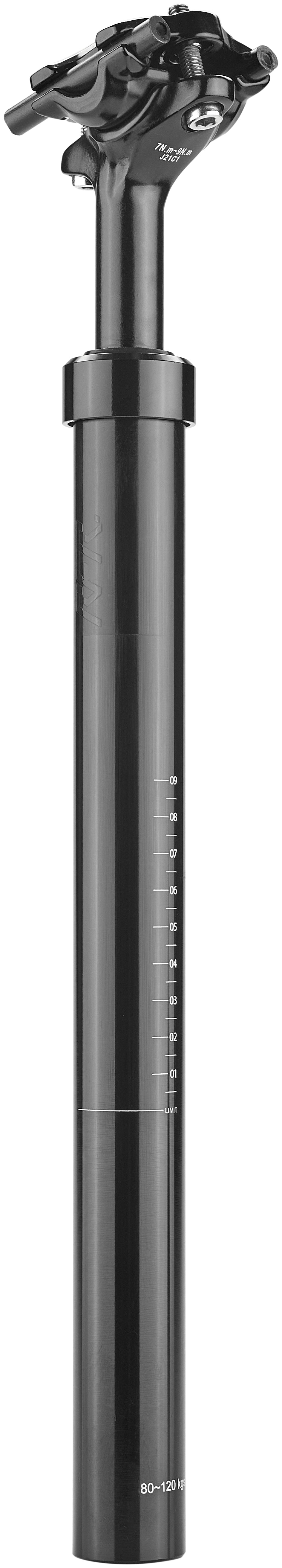 RFR Geveerde zadelpen (80 - 120kg) black