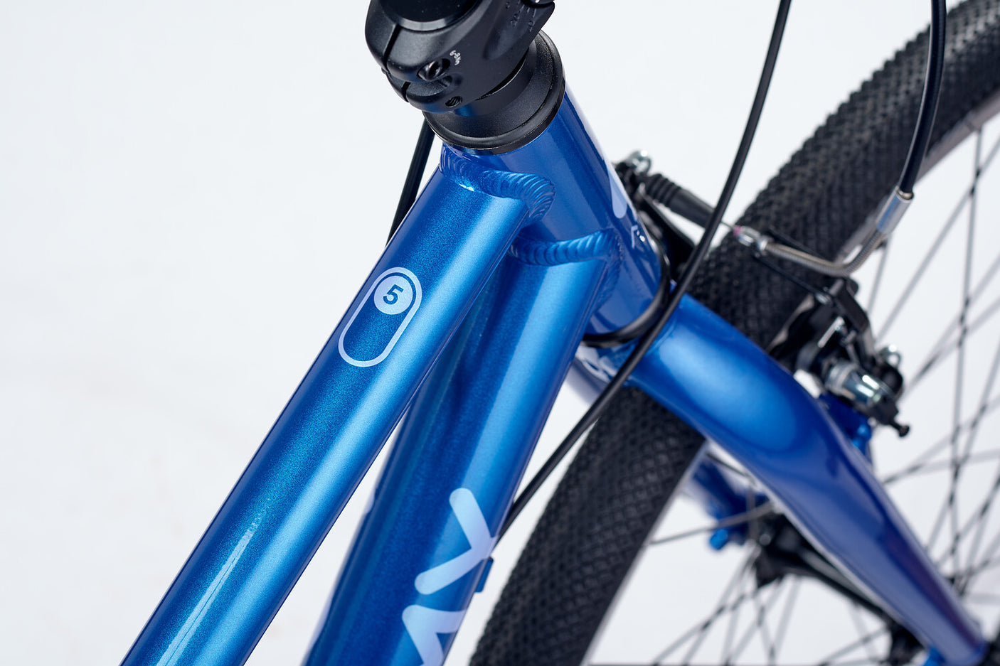 ACADEMY Grade 5 Belt 24" Blauw (2026)