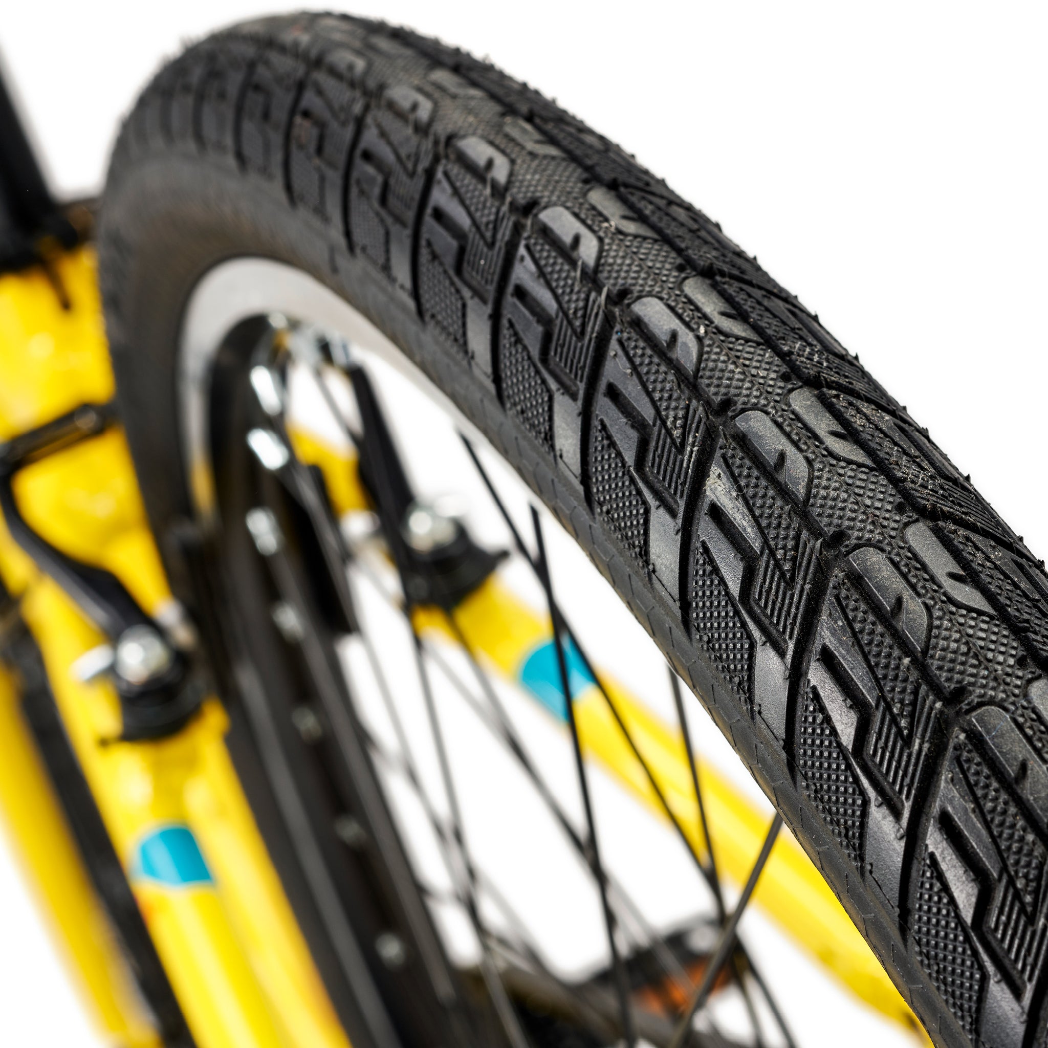 ACADEMY Grade 5 Belt 24