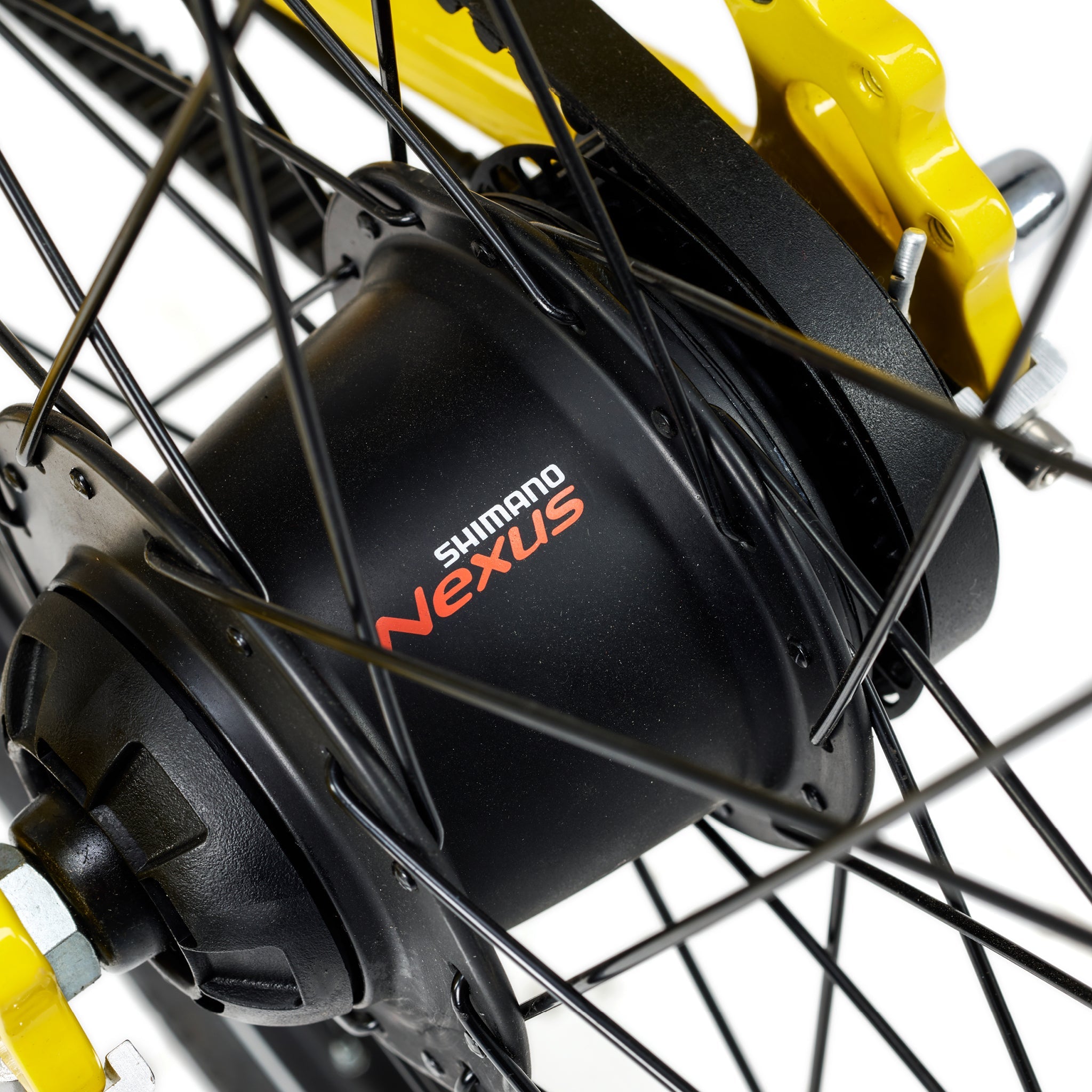 ACADEMY Grade 5 Belt 24