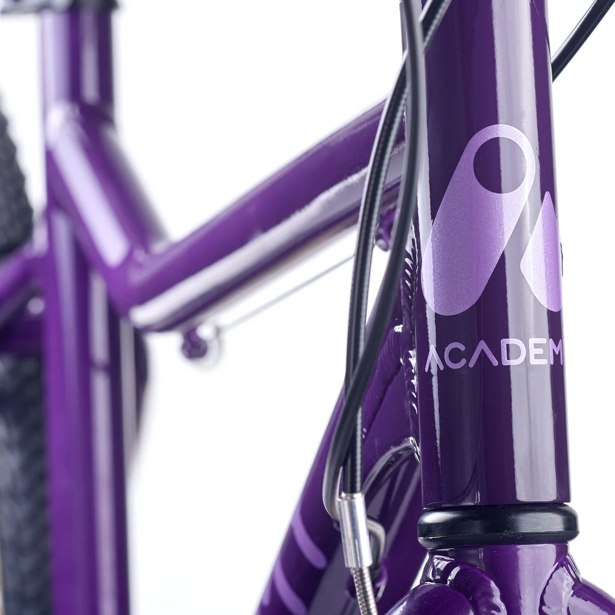 Academy GRADE 6 Paars