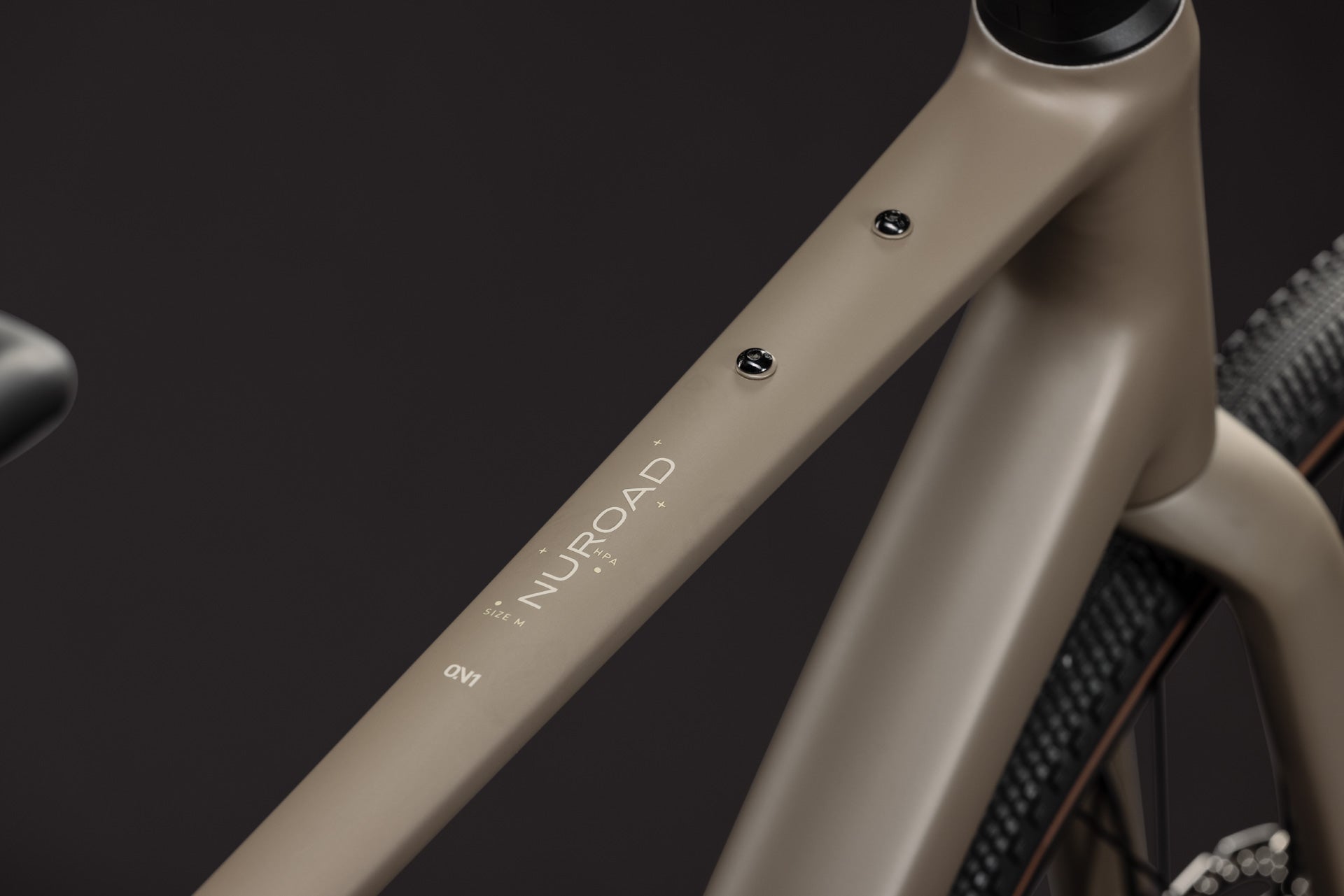 Cube Nuroad ONE wood´n´grey (2027)