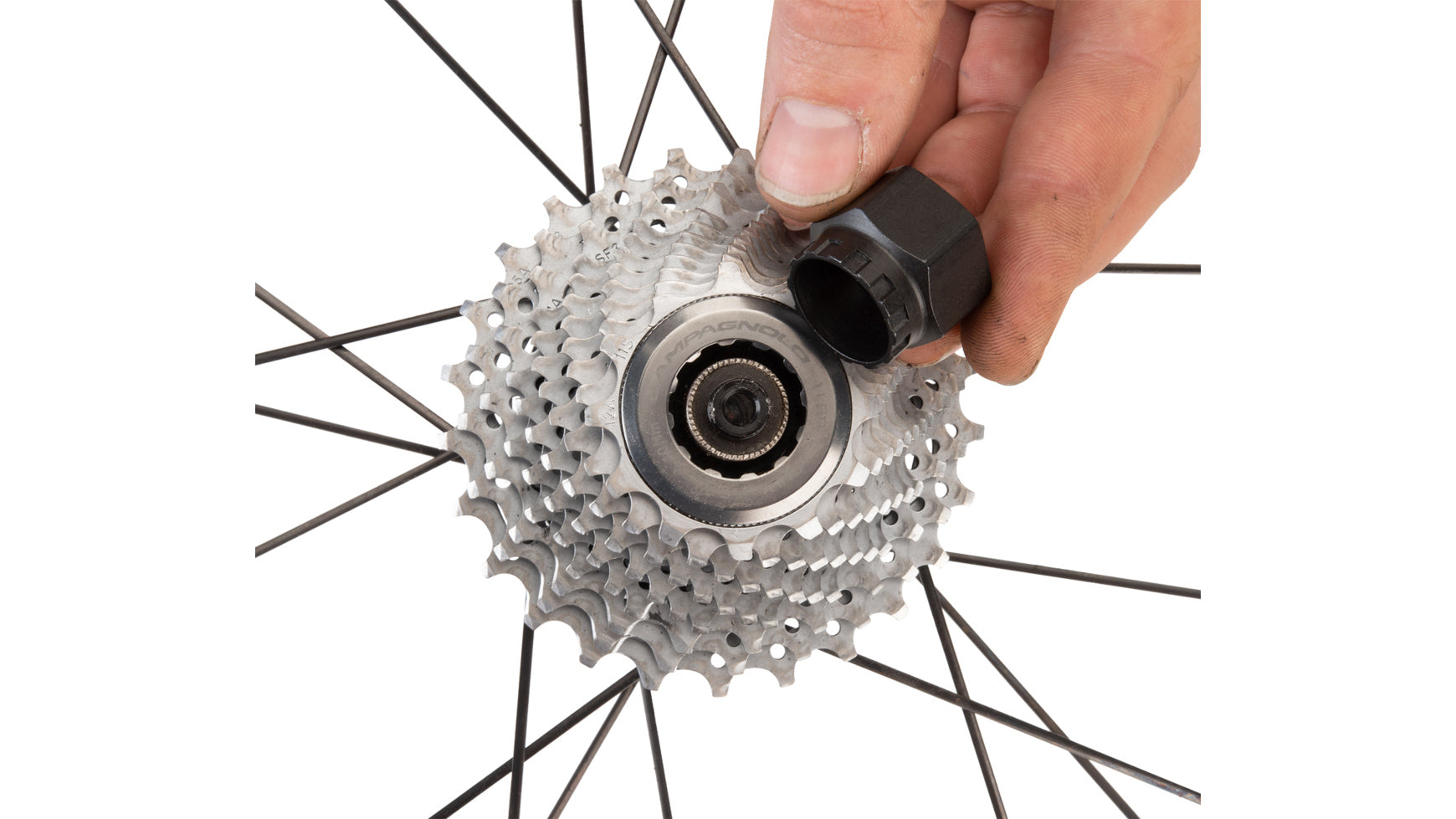 Park Tool BBT-5/FR-11 BTM Rem-/Cass.Locker Gereedschap