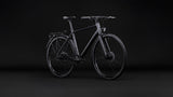 Cube Nulane Deluxe EXC FE grey´n´chrome (2027)