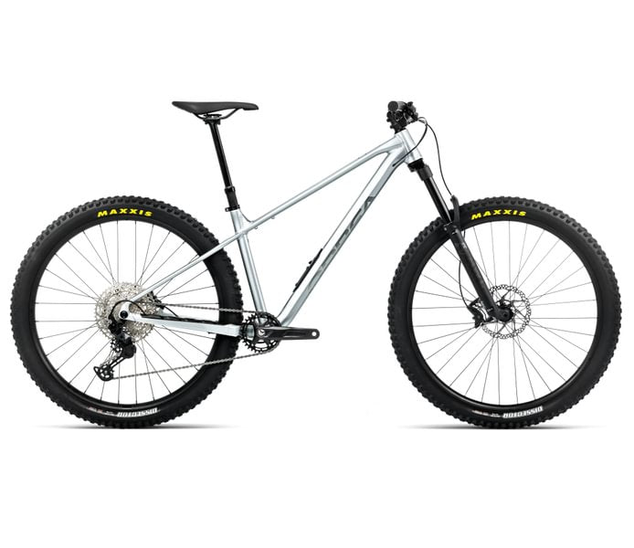 Orbea LAUFEY H10 Smooth Zilver (Mat) - Titanium (Glans)