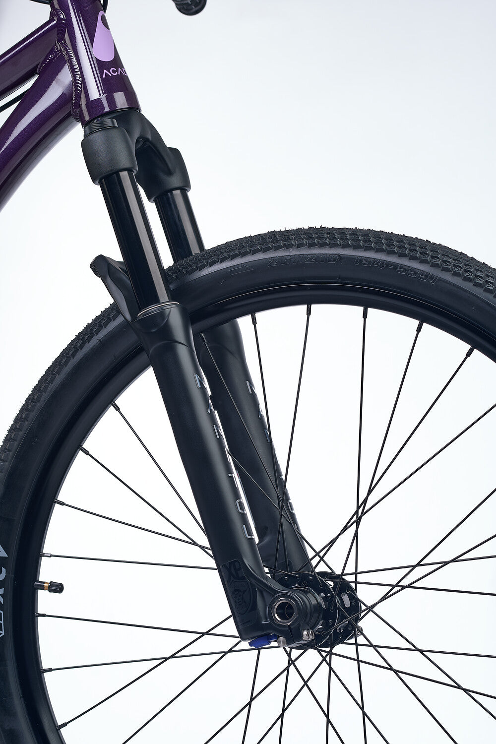 Academy PUMP 6 Pruim