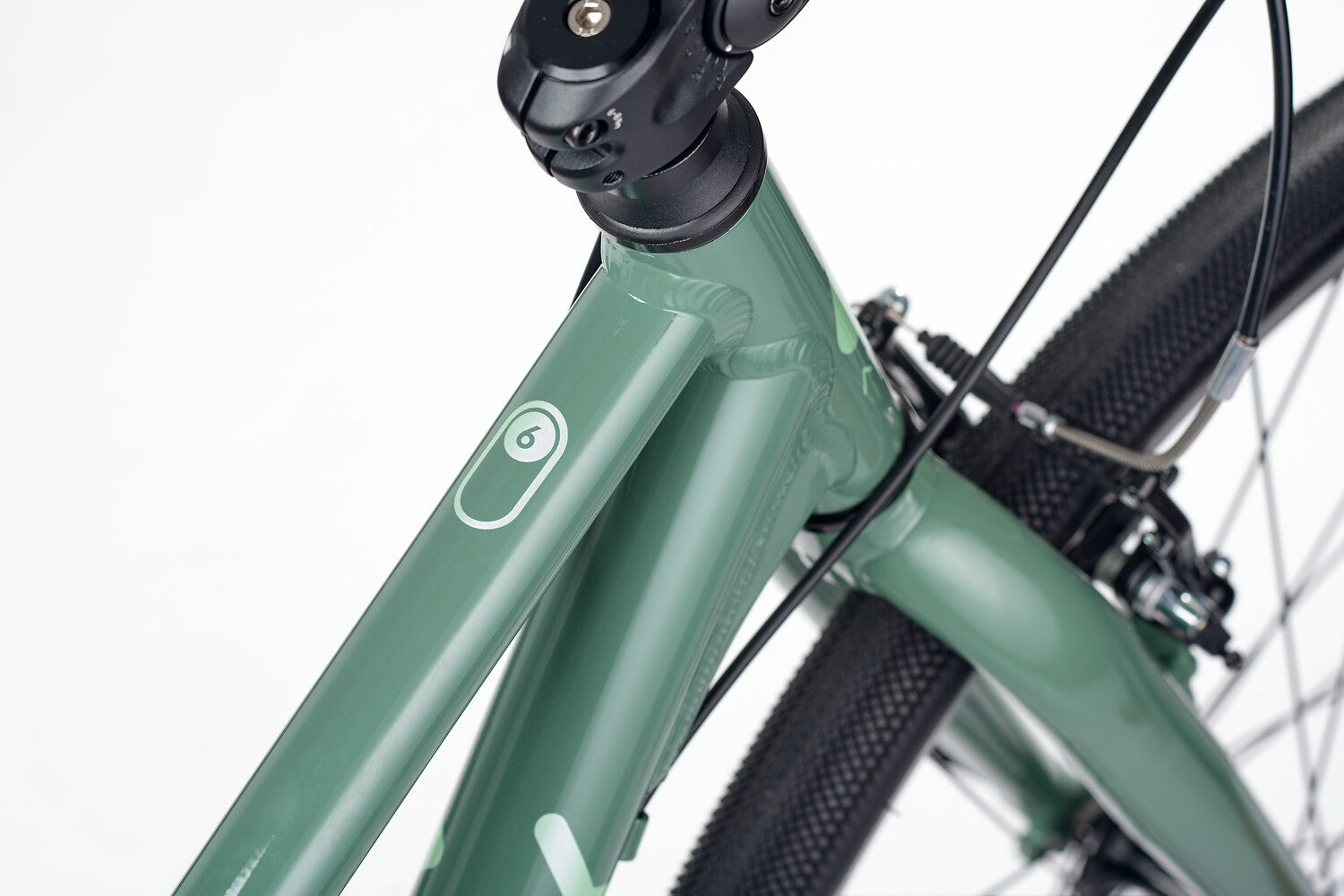 ACADEMY Grade 6 Belt 26