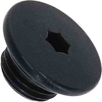 Shimano ST-R7020 ontluchtingsschroef met afdichtring