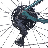 ACADEMY S-klasse Gravel 5 24" Bos