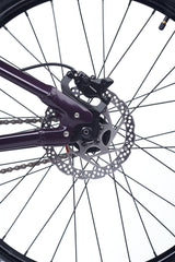 Academy PUMP 6 Pruim