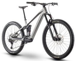 Raymon Tarok Pro Zilver