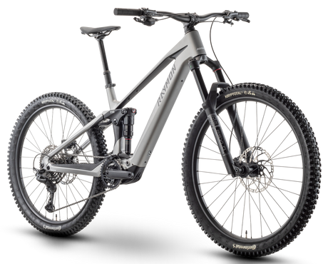 Raymon Tarok Pro Zilver
