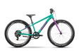 Raymon Yanga 24 green/purple (2025)