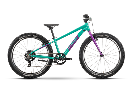 Raymon Yanga 24 green/purple (2025)