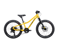 Cobra Race 20 Geel/zwart