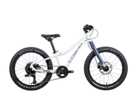 Cobra Race 20 wit/grijs