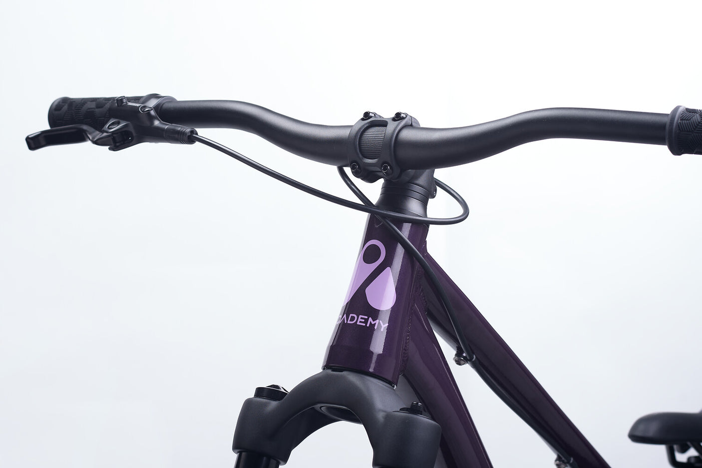 Academy PUMP 6 Pruim