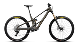 Orbea WILD LT M10 Magic Gold C. View (Mat) - Titan Gold (Glans)
