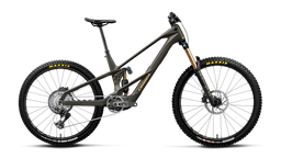 Orbea WILD LT M-TEAM RS MULLET Magic Gold C. View (Mat) - Titan Gold (Glans)
