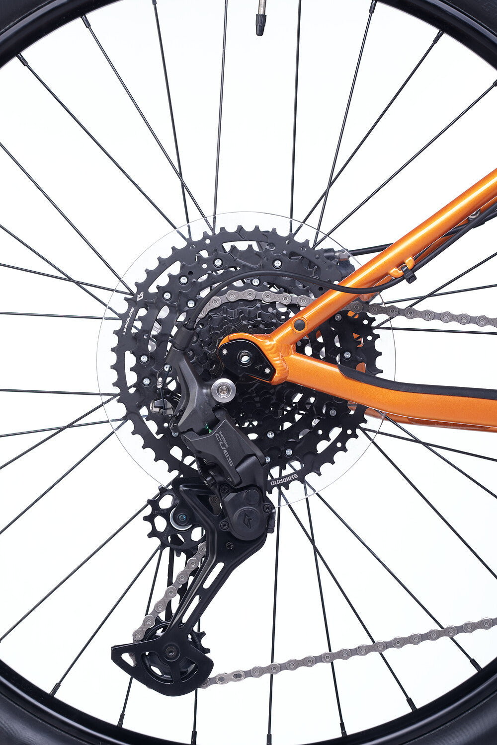 Academy Trail 7 RH38 Amber