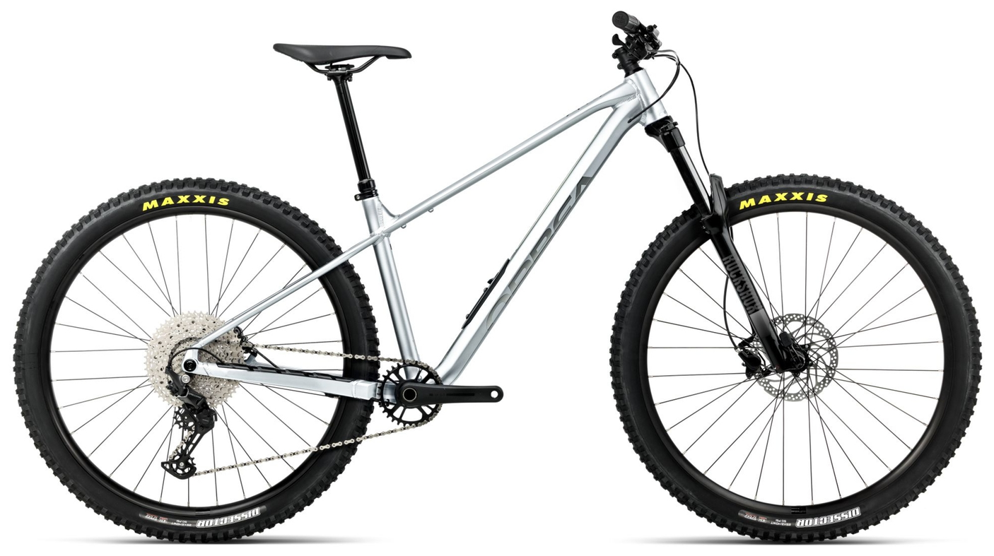 Orbea LAUFEY H30 Smooth Zilver (Mat) - Titanium (Glans)