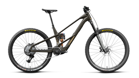 Orbea WILD LT M20 Magic Gold C. View (Mat) - Titan Gold (Glans)