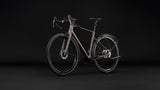 Cube Nuroad C:62 Pro FE ceder´n´steen
