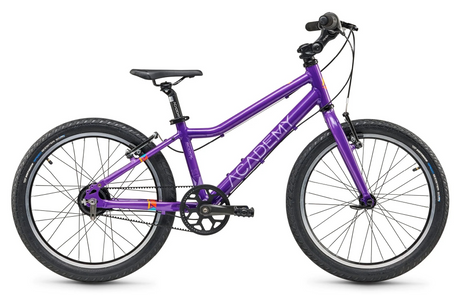 ACADEMY Grade 4 Belt 20" Paars (2025)