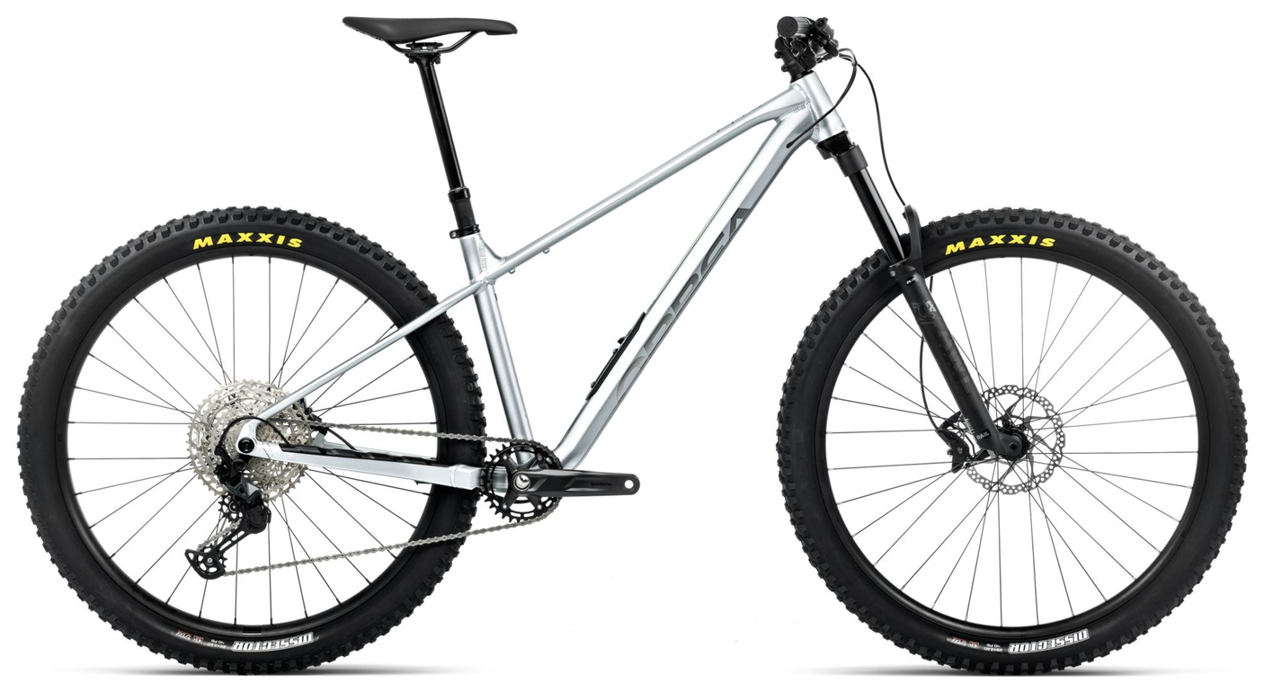 Orbea LAUFEY H10 Smooth Zilver (Mat) - Titanium (Glans)