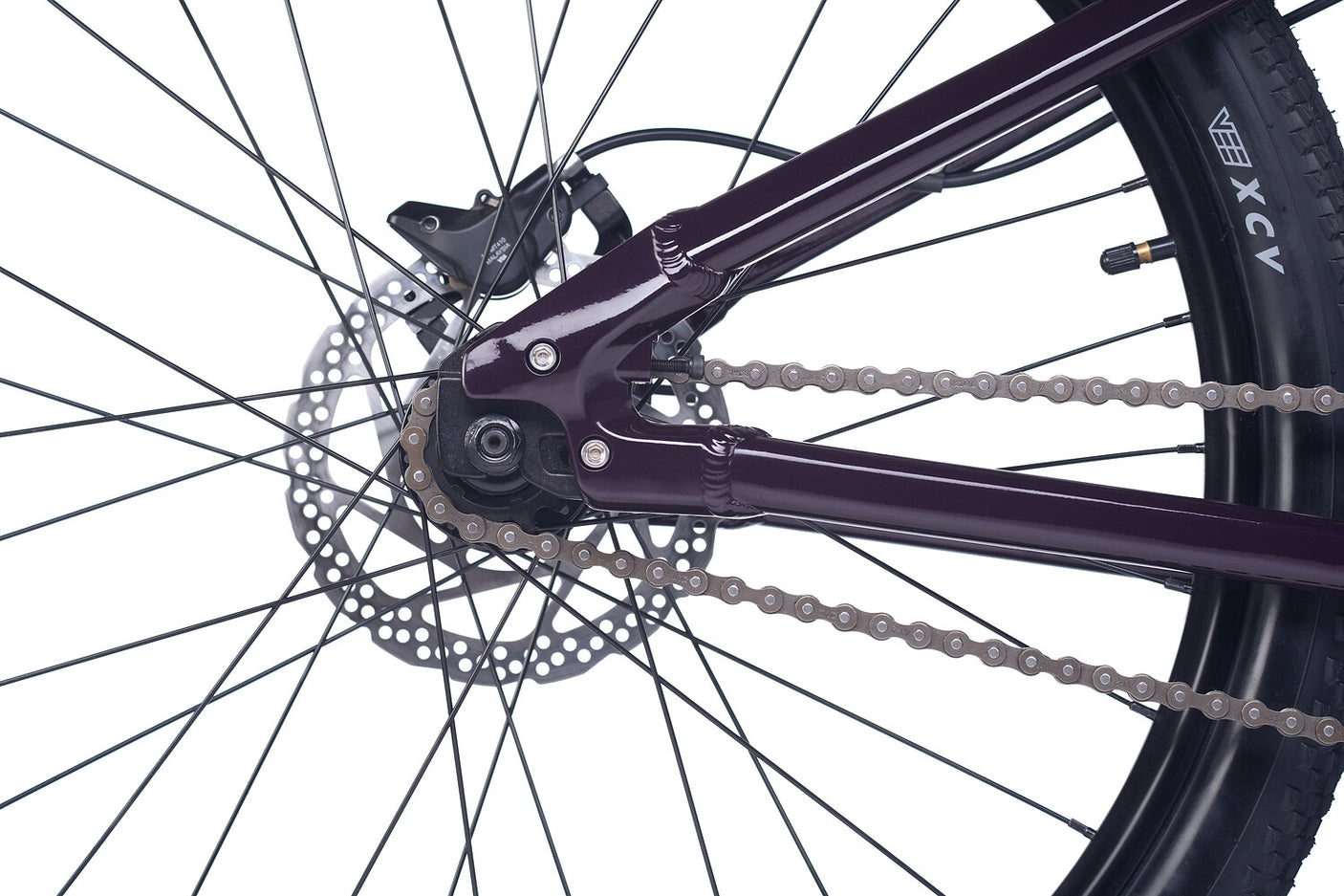 Academy PUMP 6 Pruim