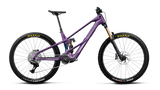 Orbea WILD LT M10 Royal Plum-Noctiluca C.View (Gloss)