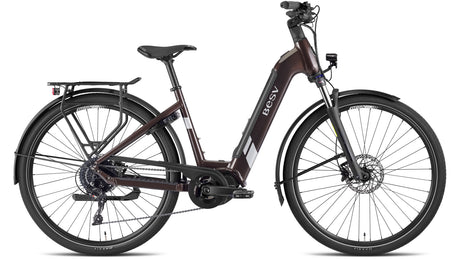 BESV TR 1.3 LS Metallic Omber
